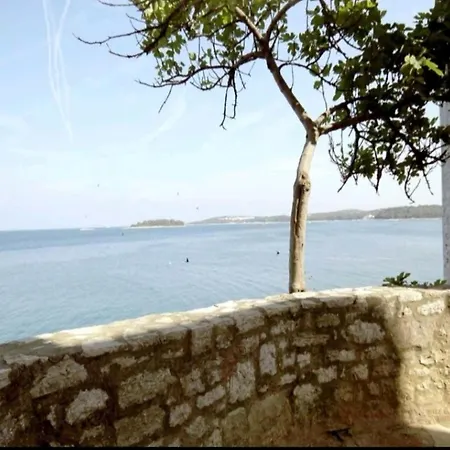 Giulio - 10mt To The Apartman Rovinj